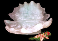 Large Clam